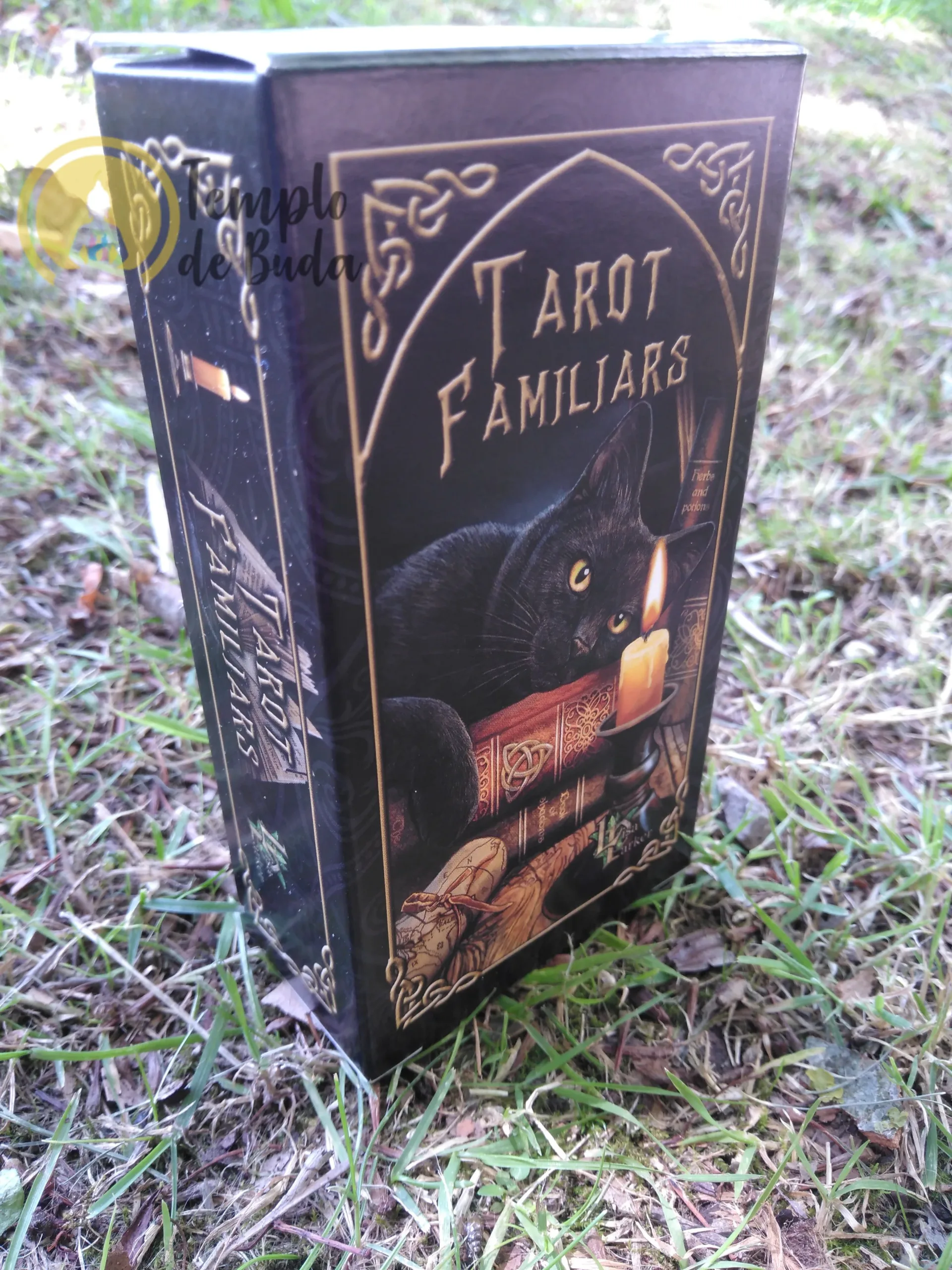 Tarot Familiars de Lisa Parker em Inglês