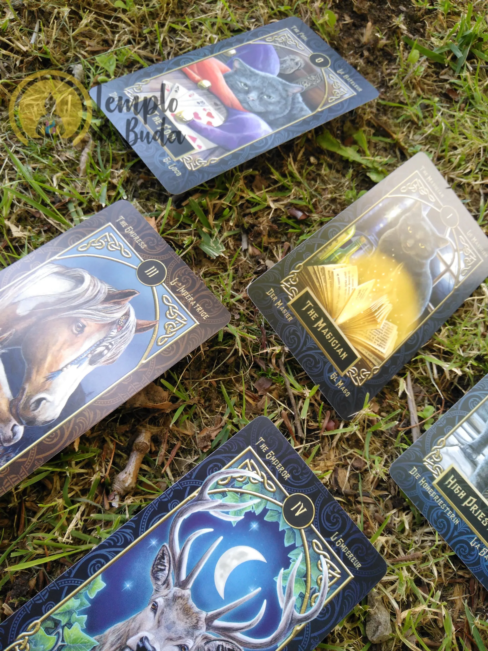 Tarot Familiars de Lisa Parker em Inglês