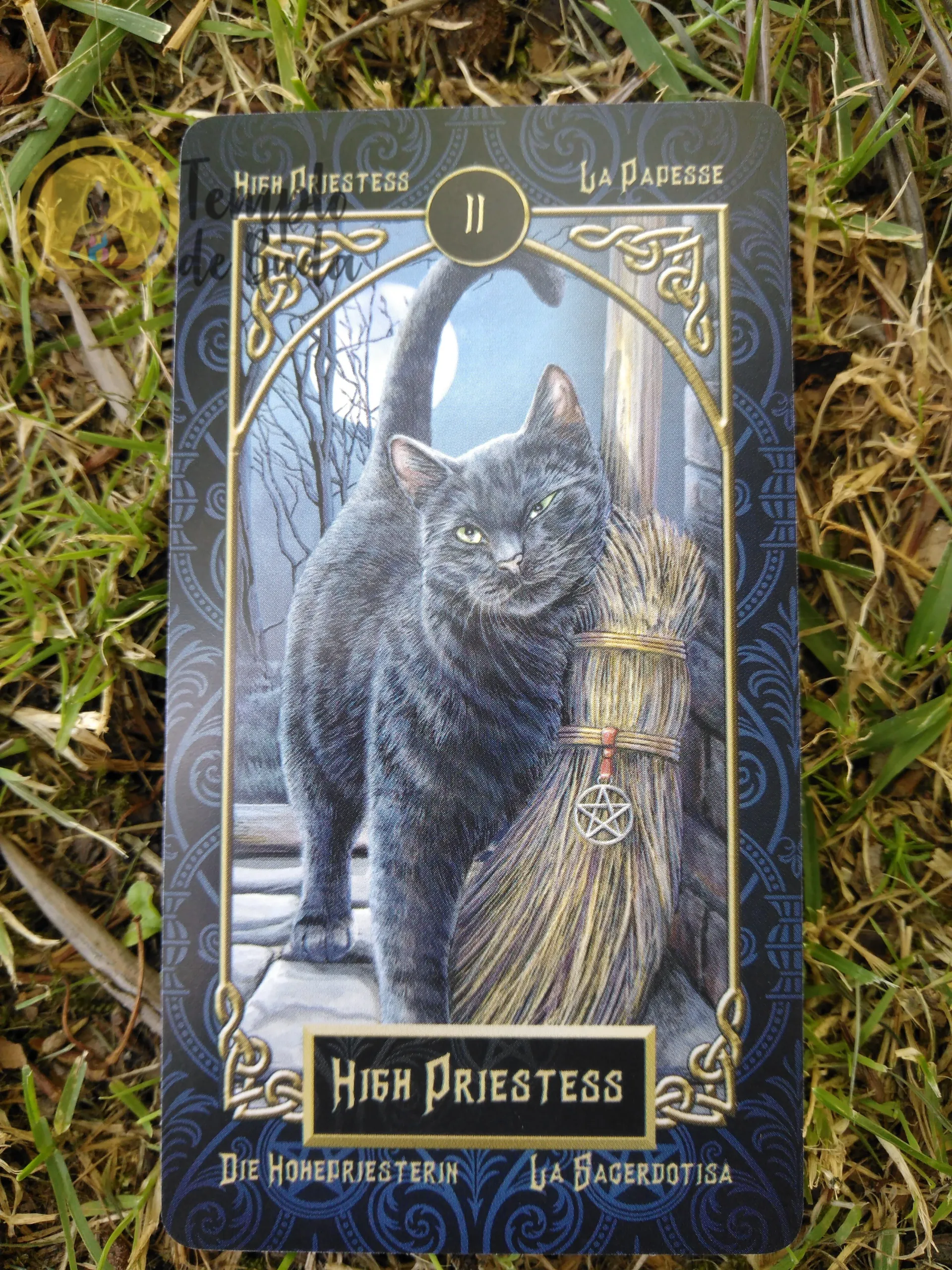 Tarot Familiars de Lisa Parker em Inglês