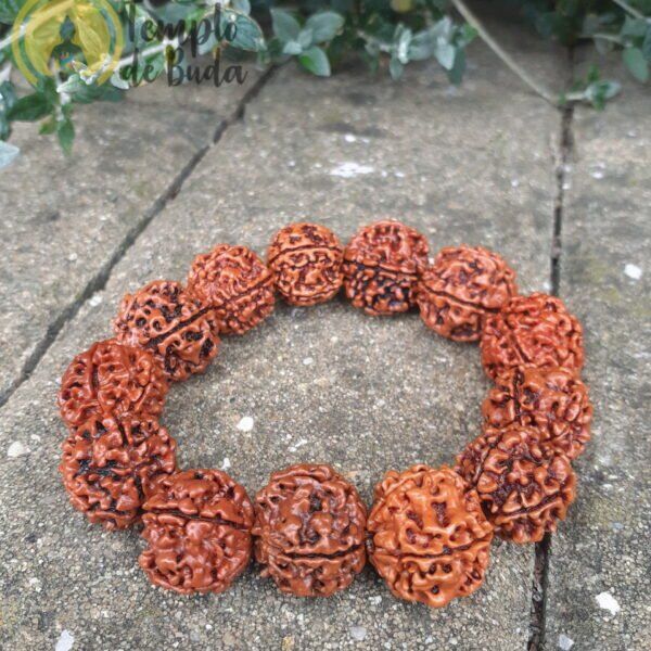Pulseira Rudraksha Simples