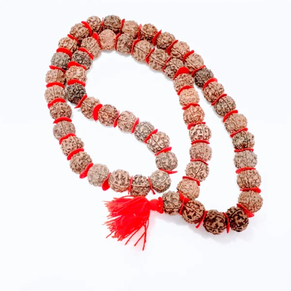 Japa Mala Rudraksha 5 Muhkhis Vermelho