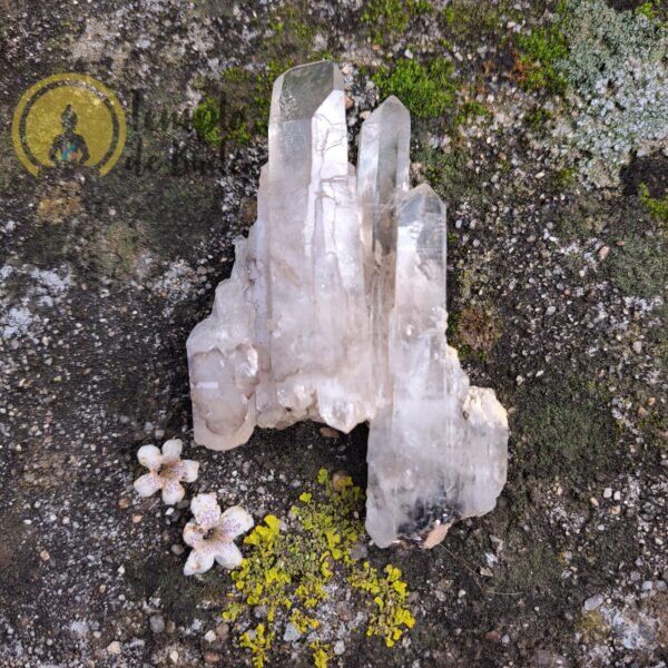 Trio de Pontas de Cristal Lemuriano