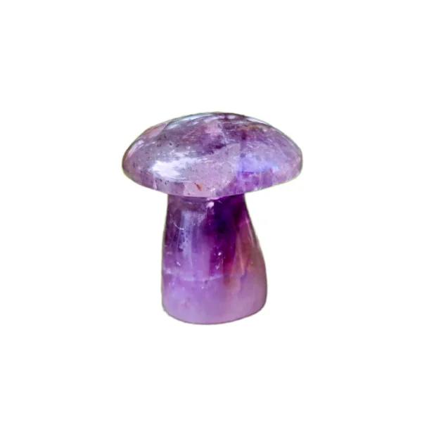 Cogumelo Ametista