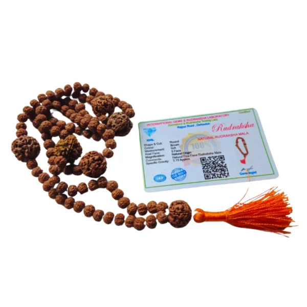 JapaMala de Rudraksha