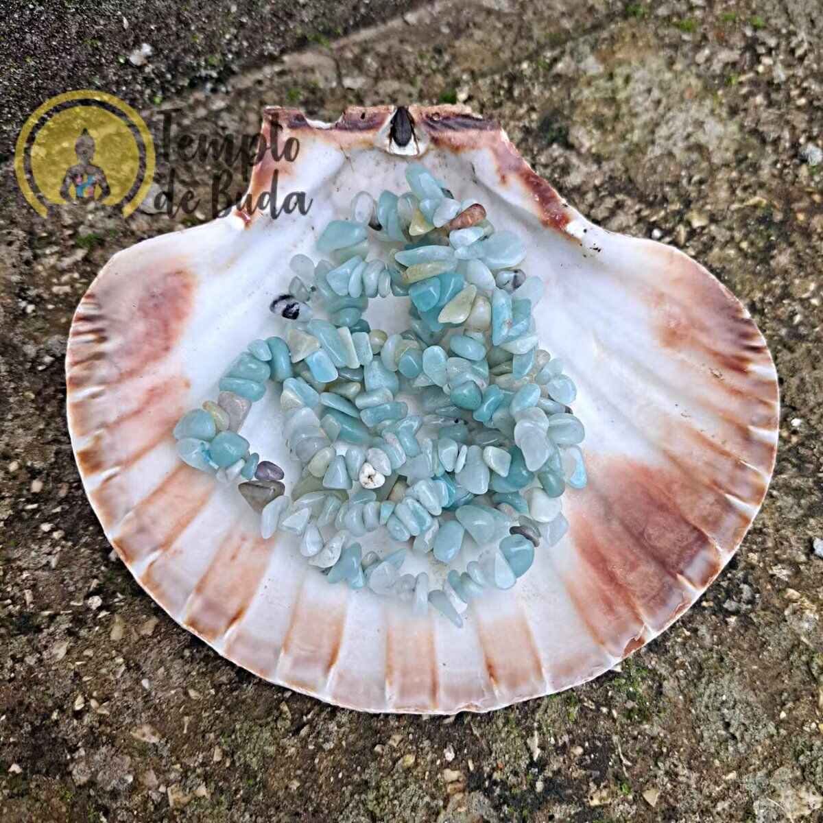 Pulseira Amazonite Chips