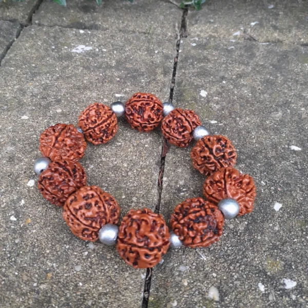 Zilveren Rudraksha-armband met 5 Mukhis.