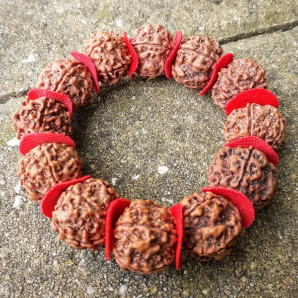 Rode Rudraksha-armband