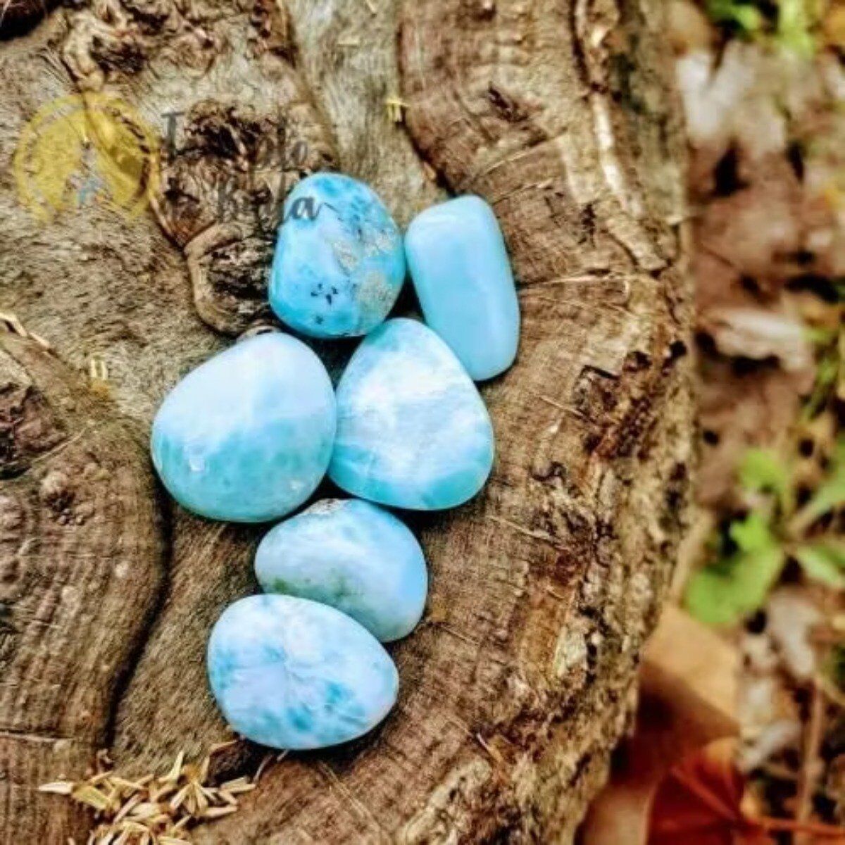 Larimar Rolado Extra