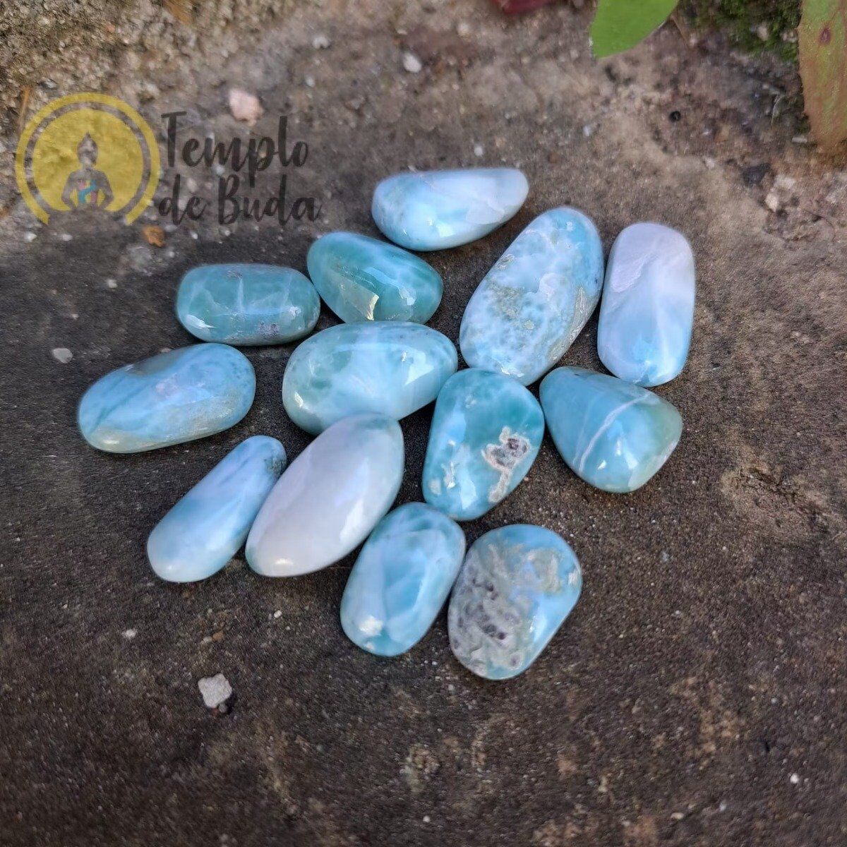 Larimar Rolado Extra