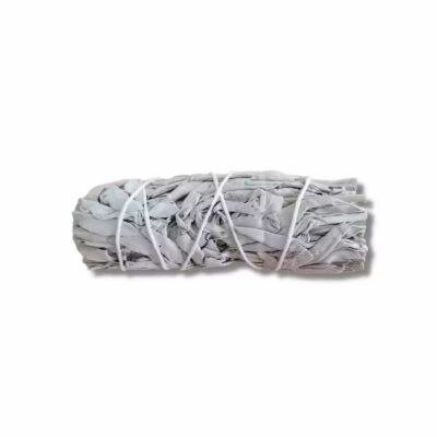 Tocha Salvia Branca California