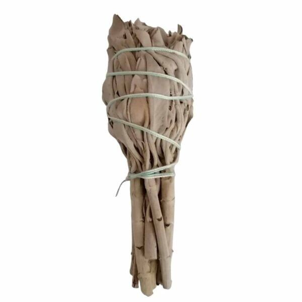 Tocha Salvia Branca Califórnia com Pé