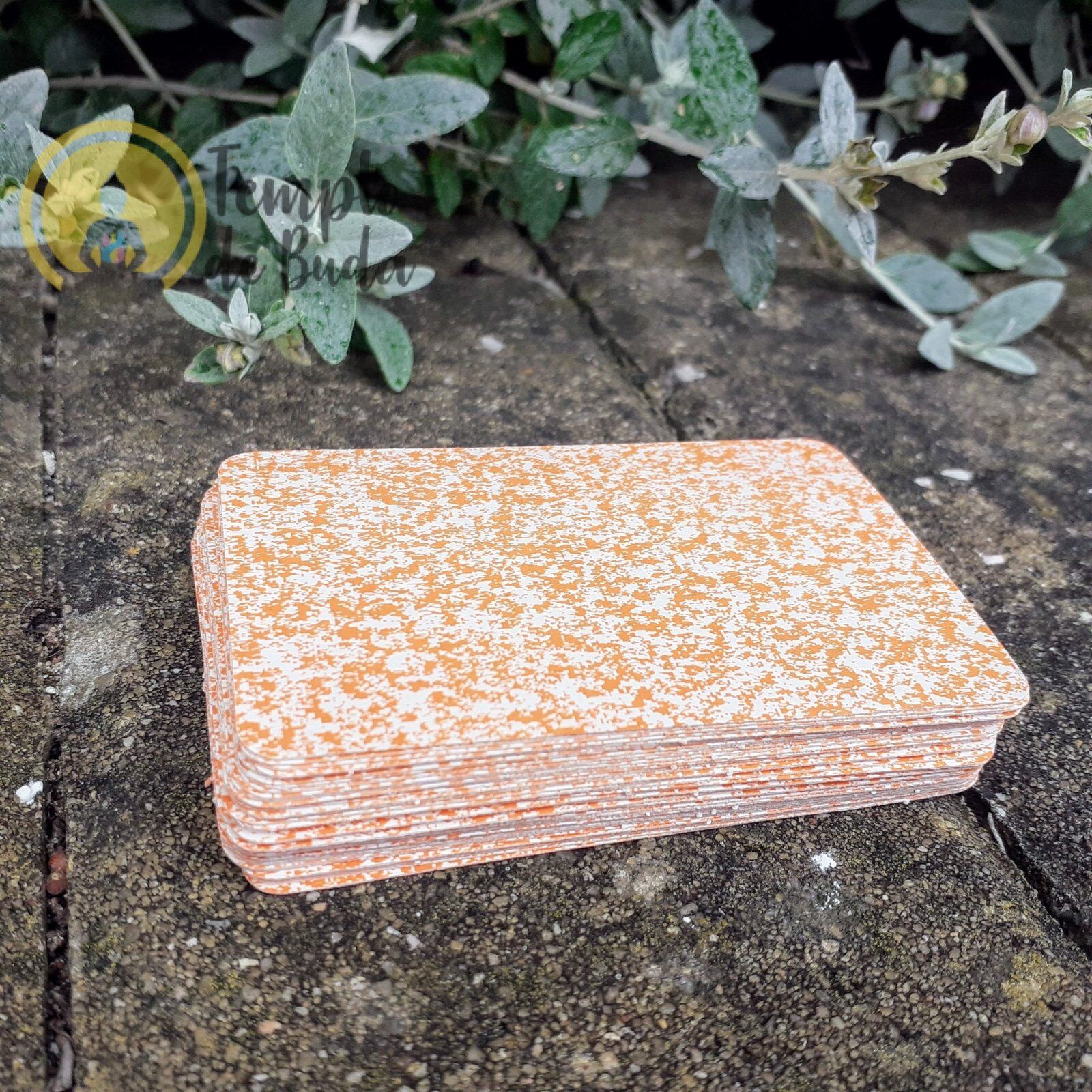 Baralho Cigano Lenormand Cigana da Sorte em Português