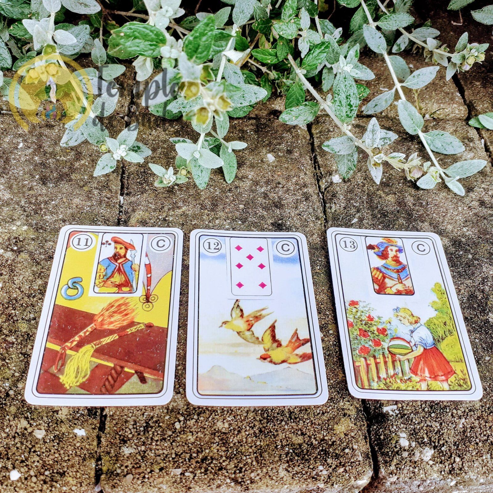 Baralho Cigano Lenormand Cigana da Sorte em Português