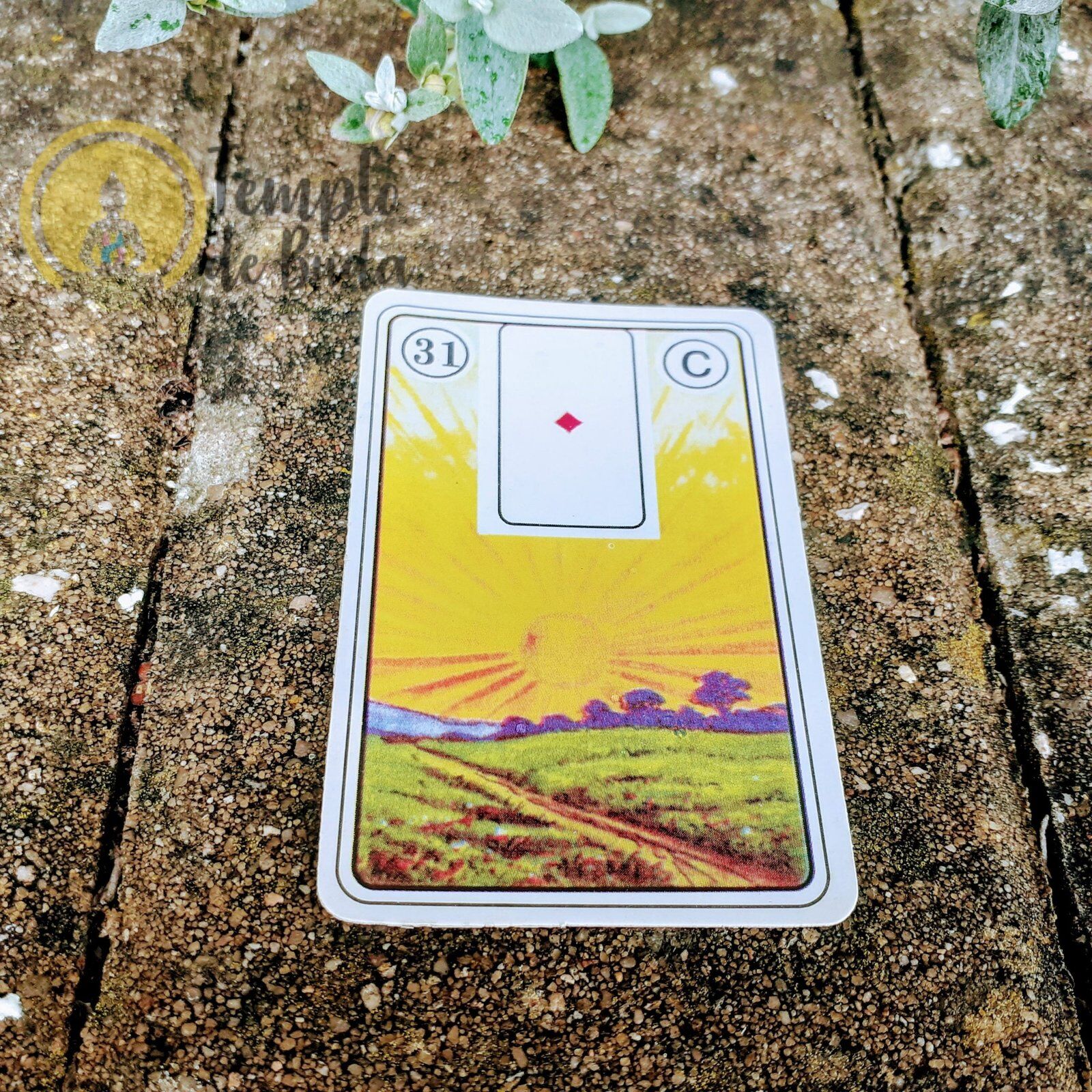 Baralho Cigano Lenormand Cigana da Sorte em Português