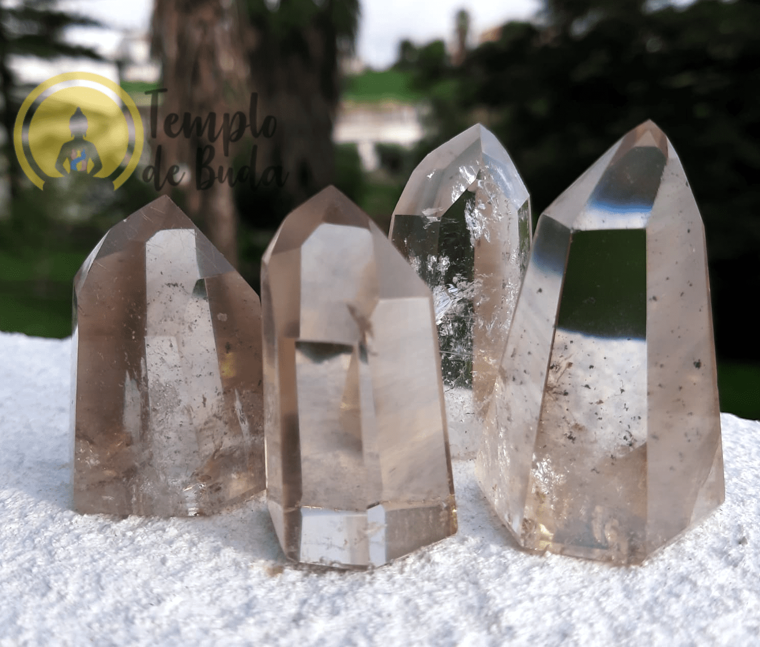 Cristal Gerador de Quartzo Cristal Fumado até 49gr