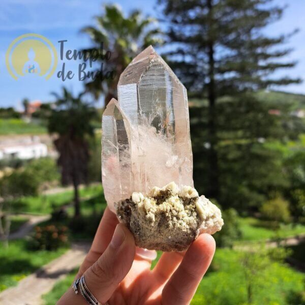 Os Cristais Mestre Gêmeos Fumados em Matriz