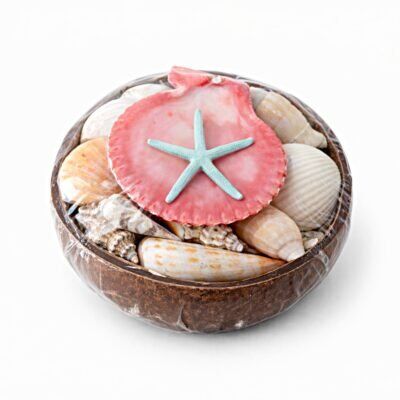 Casca de Côco Decorativa com Estrela do Mar e Conchas