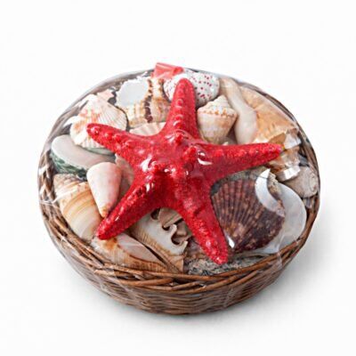 Cesta Decorativa com Estrela do Mar e Conchas