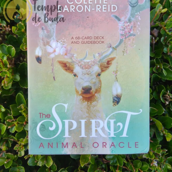 Oráculo Animal Espiritual de Colette Baron-Reid em Inglês