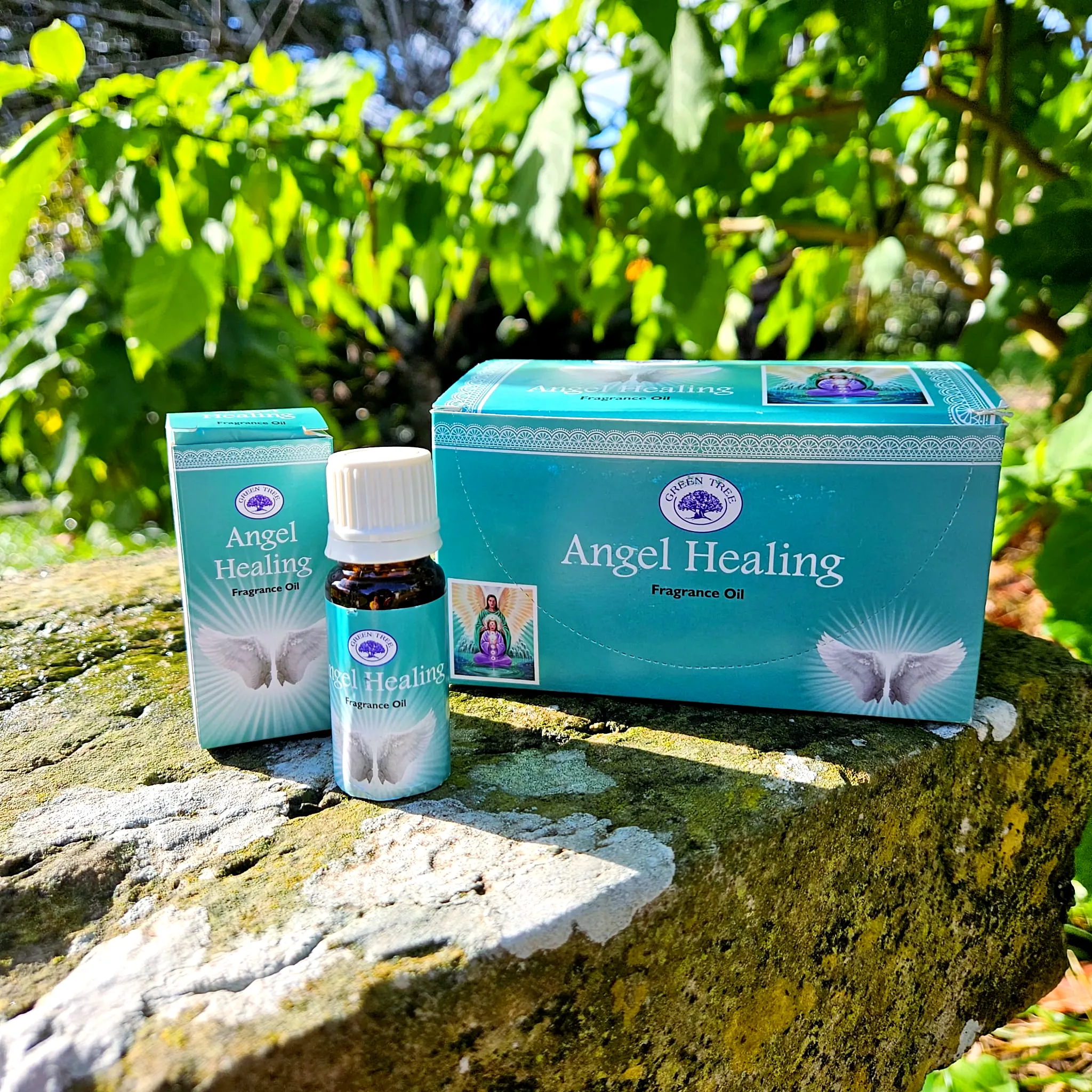 Oleo Green Tree Angel Healing Caixa