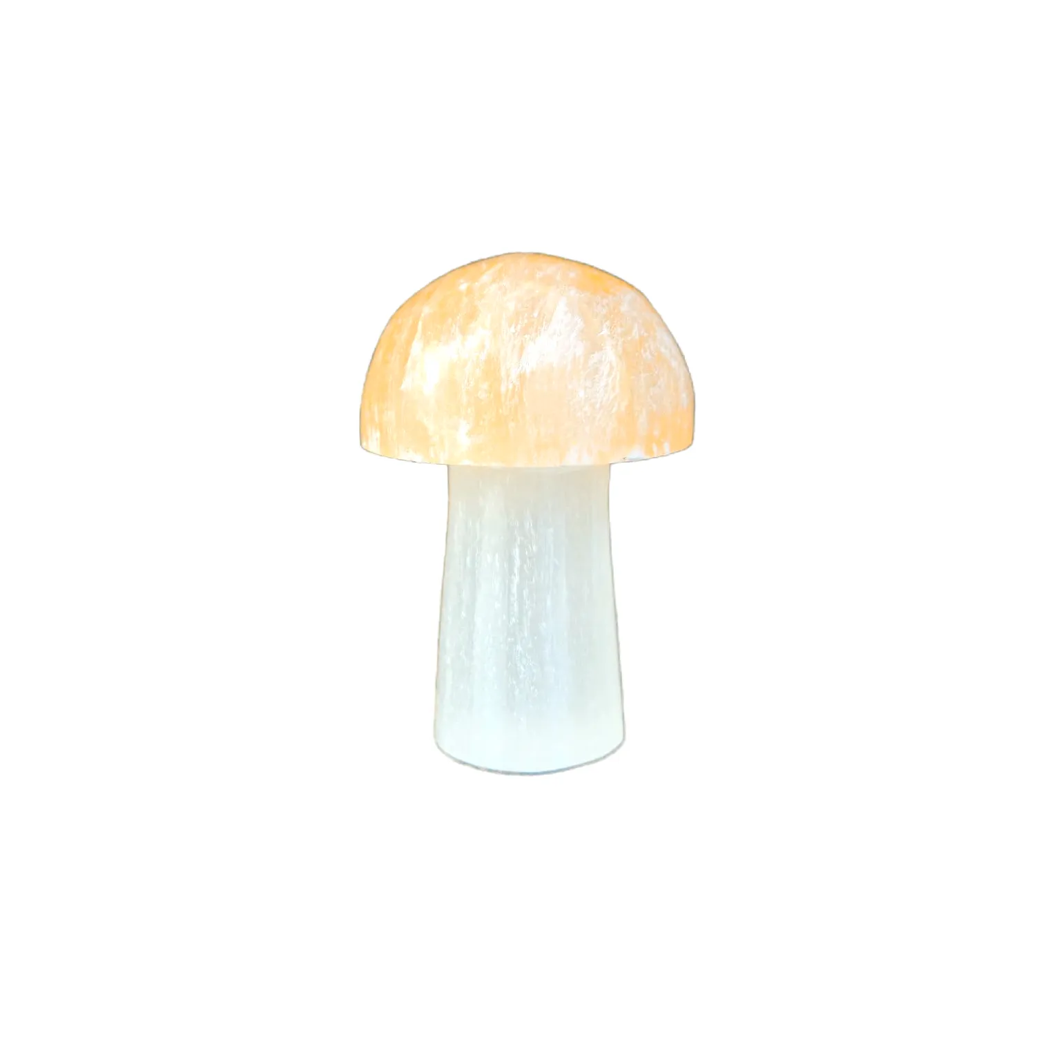 Cogumelo Selenita Branca e Laranja