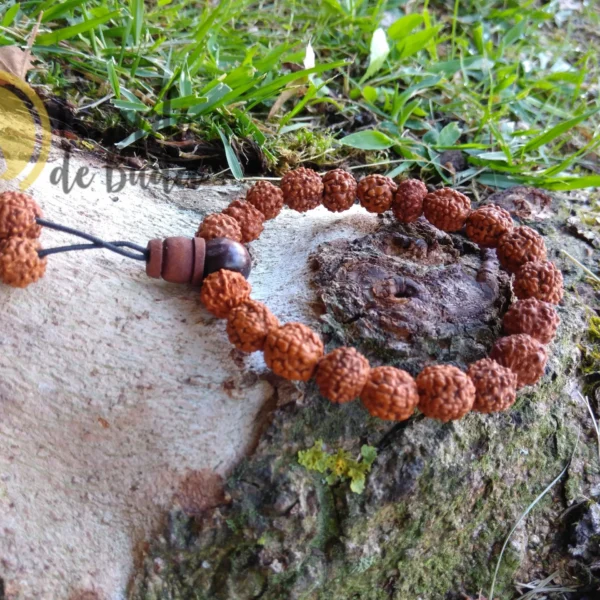 Pulseira Rudraksha