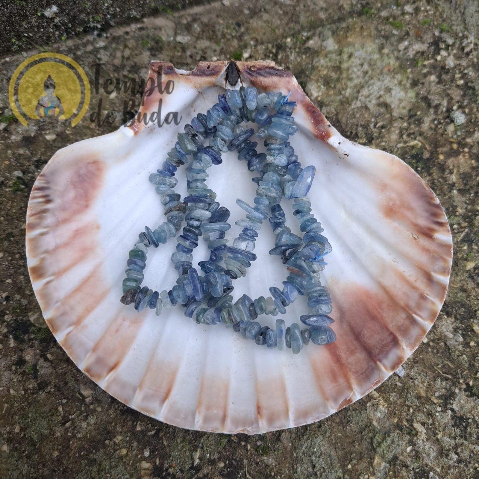 Pulseira Cianita Chips