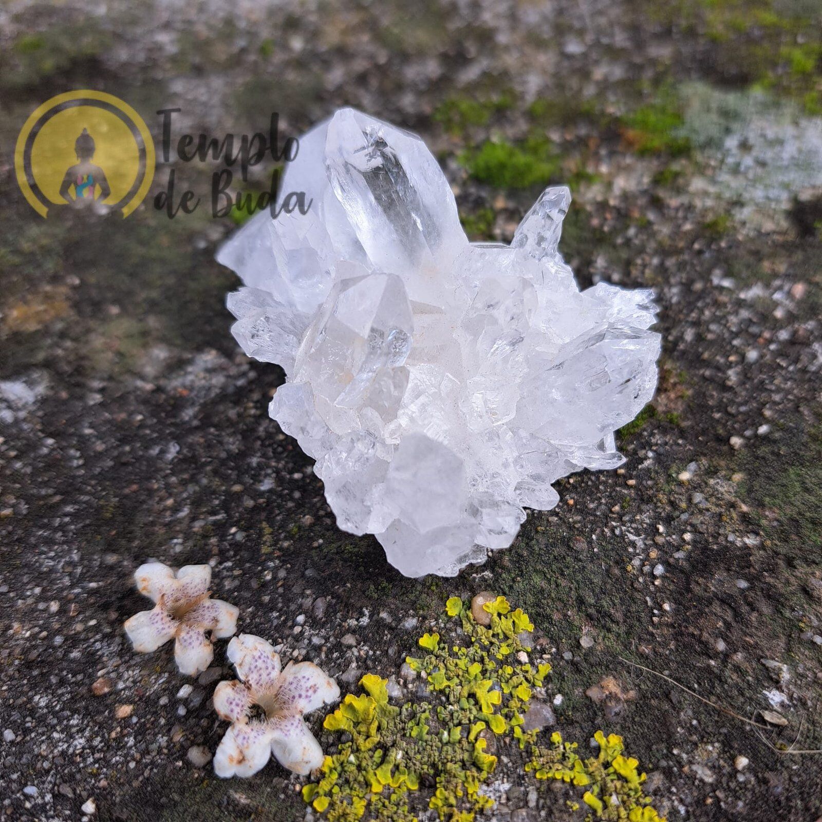 Drusa de Cristal Hialino