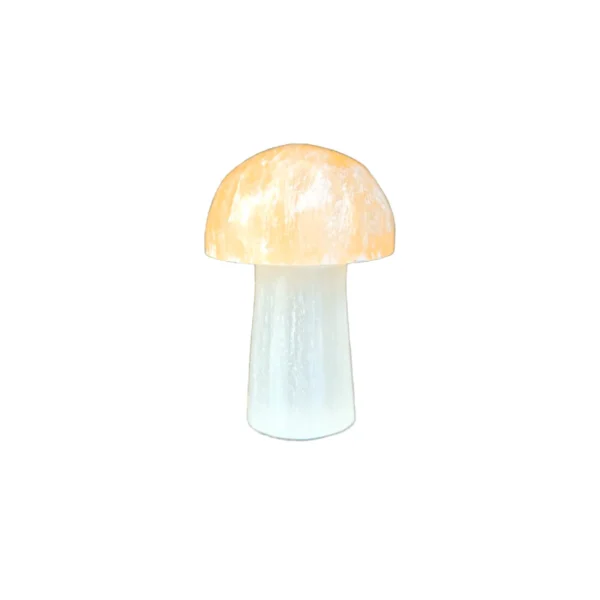 Cogumelo Selenita Branca e Laranja