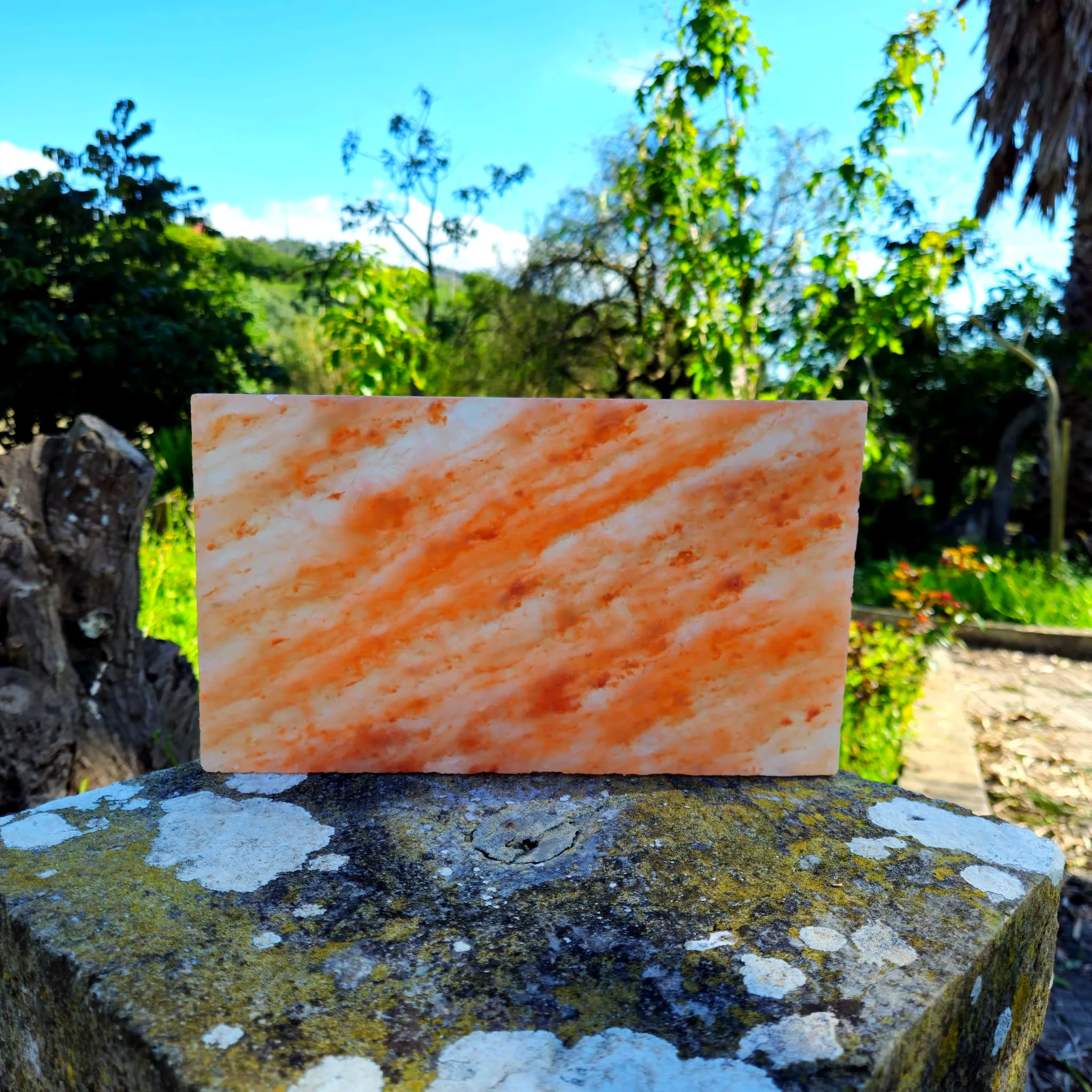 Placa Sal Himalaias