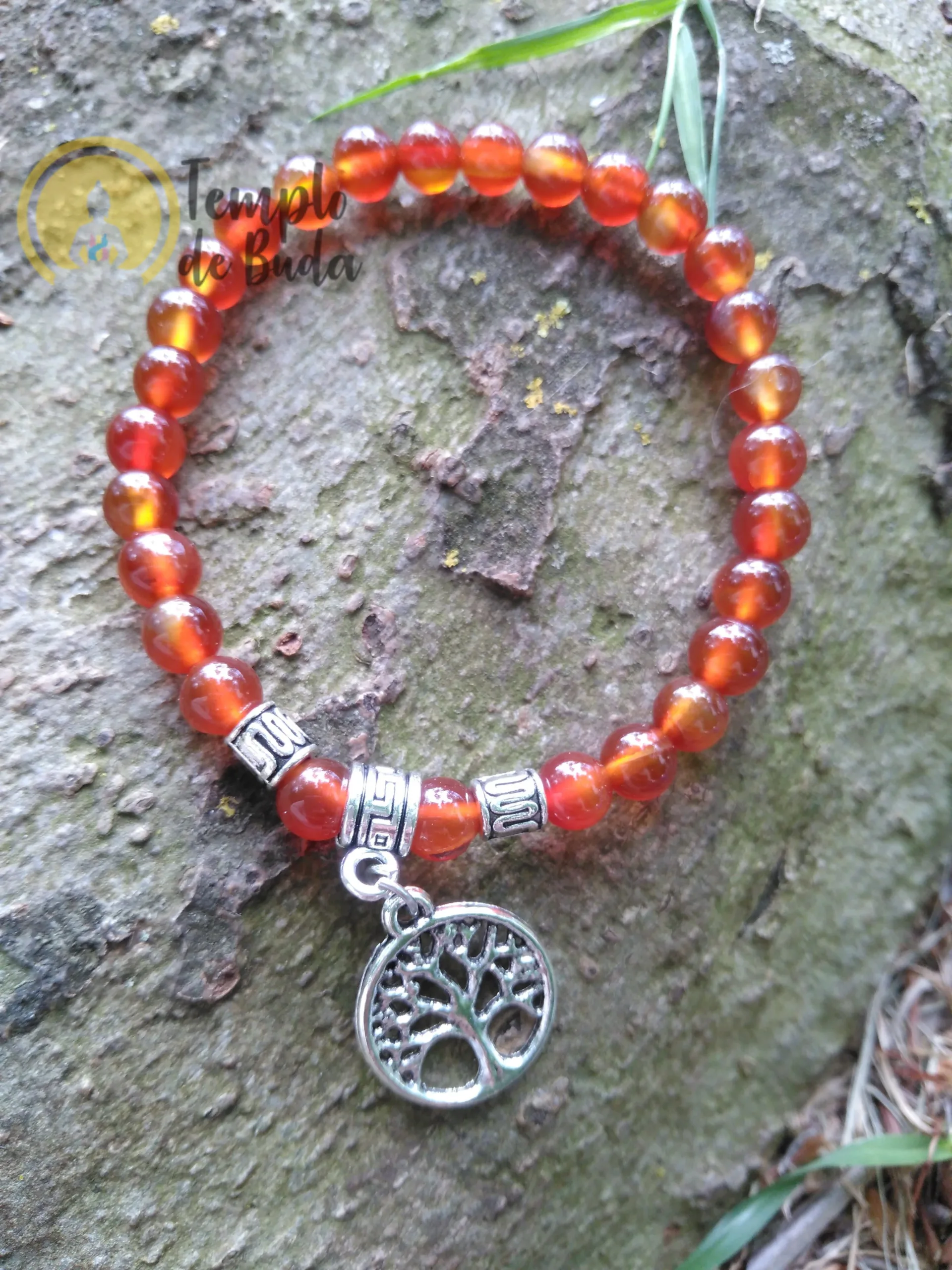Pulseira Cornalina com Árvore da Vida