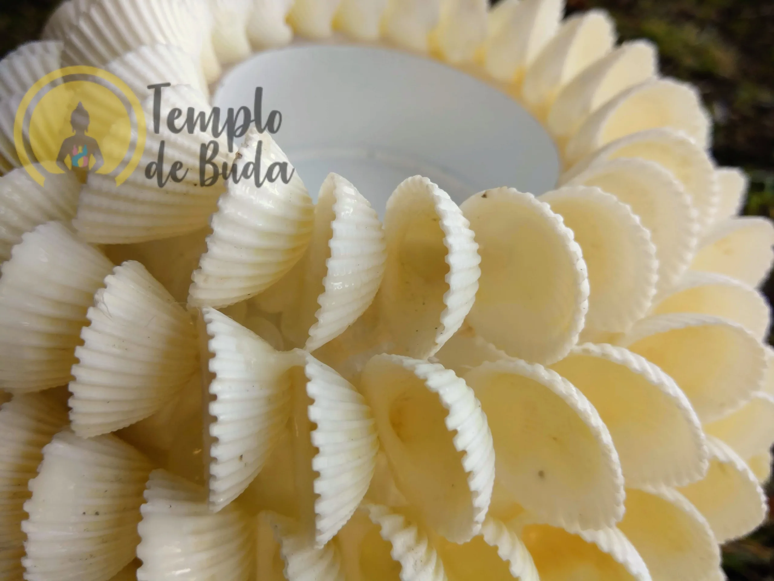 Porta Velas com Conchas