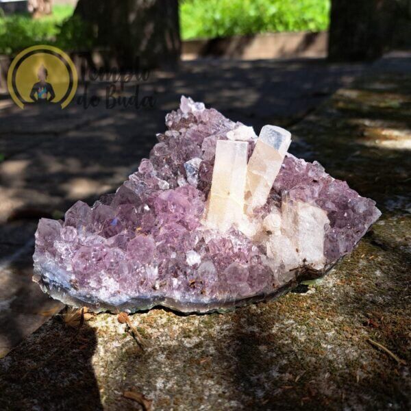 Drusa de Ametista com Cristal de Quartzo Branco 15cm (638 gr)