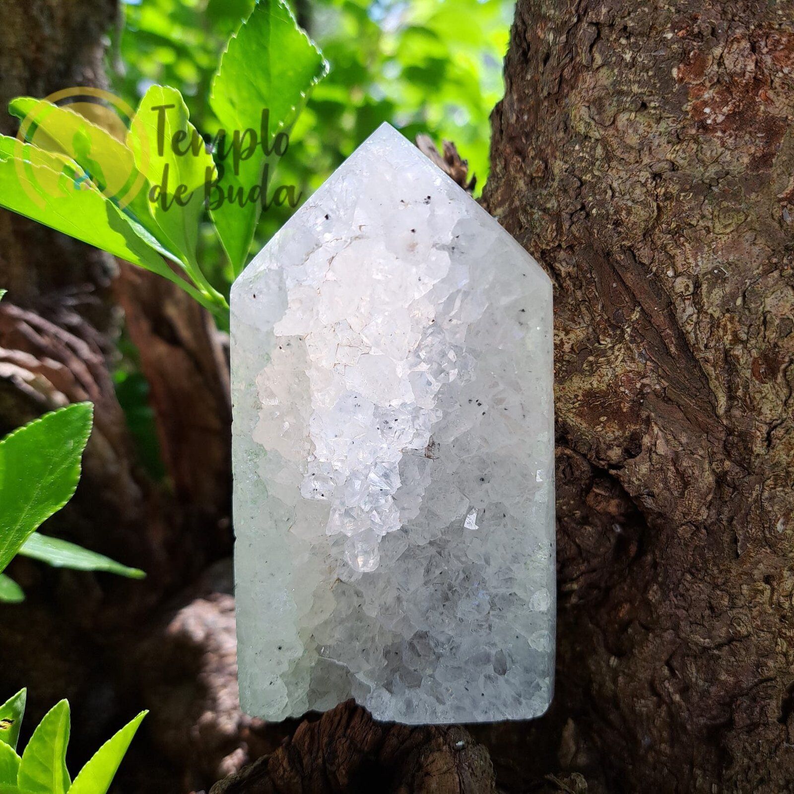 Drusa em Obelisco de Ágata