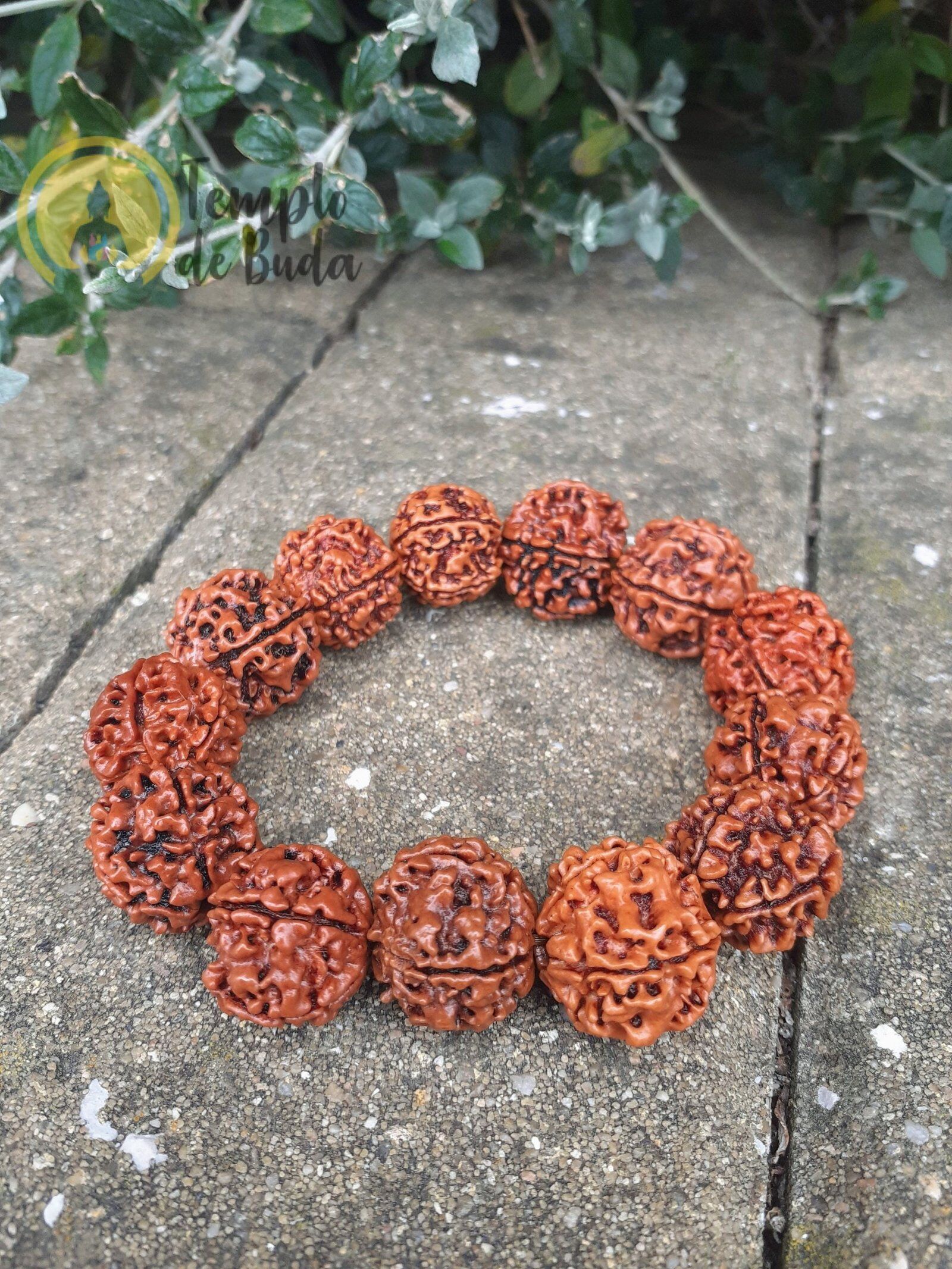 Pulseira Rudraksha Simples