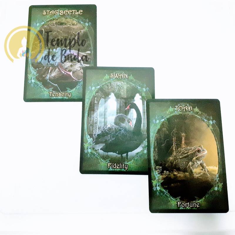 Oráculo Witches Familiars de Barbara Meiklejohn e Flavia Peters em Inglês - Image 2