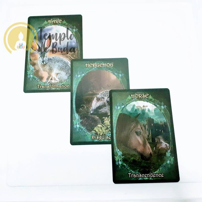 Oráculo Witches Familiars de Barbara Meiklejohn e Flavia Peters em Inglês - Image 3