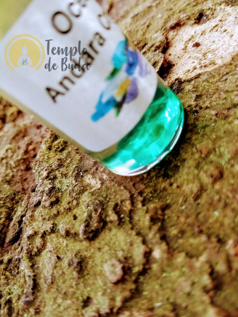 Andara Óleo Oceânico - Image 3