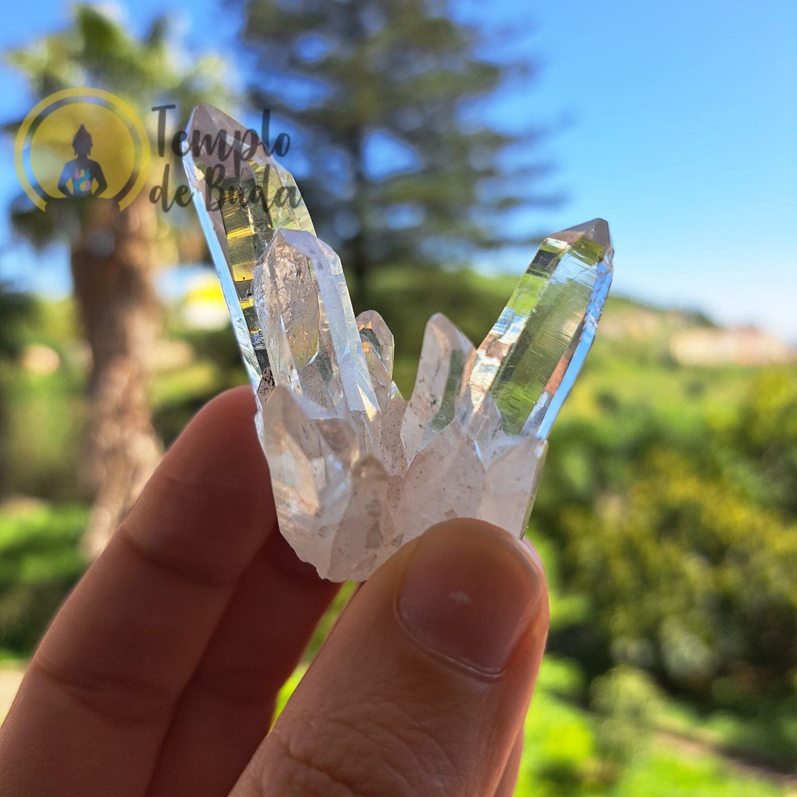 Pontas de Cristal Mestre Hialino Lemuriano