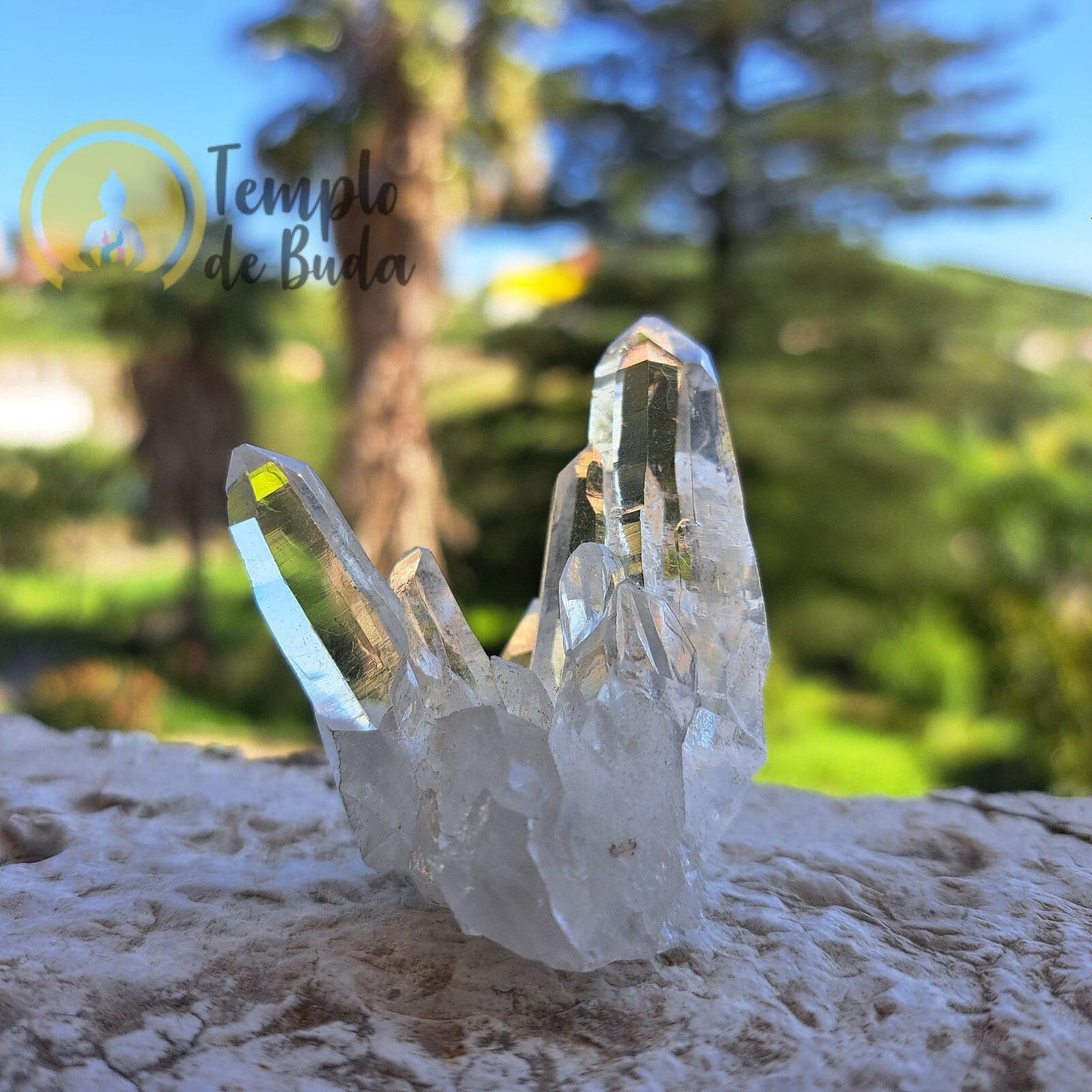 Pontas de Cristal Mestre Hialino Lemuriano