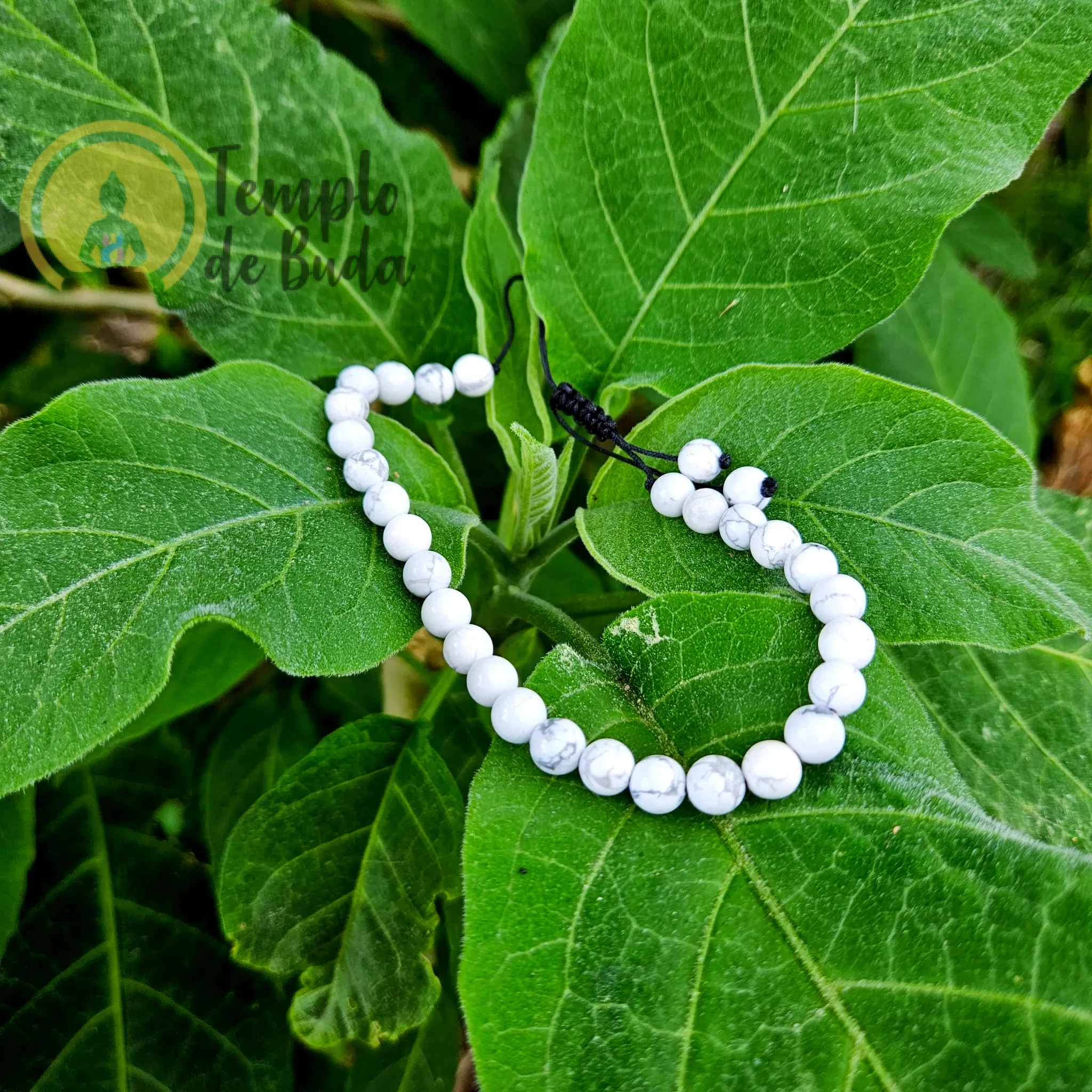 Pulseira Howlite Branca com Cordão Regulável