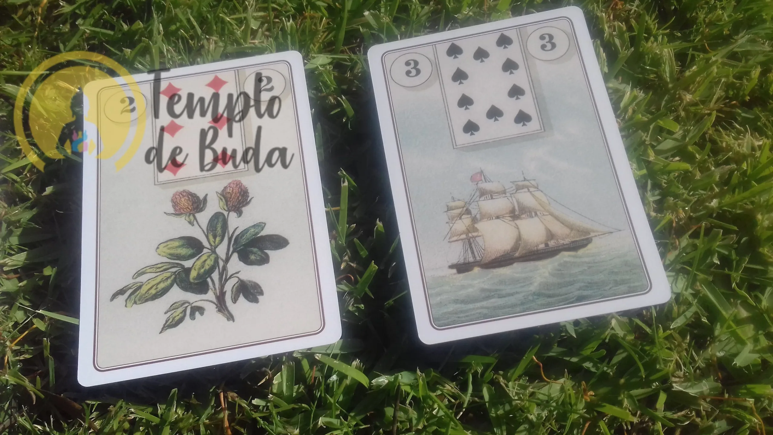 Baralho Cigano Madame Lenormand de Laura Tuan em Português