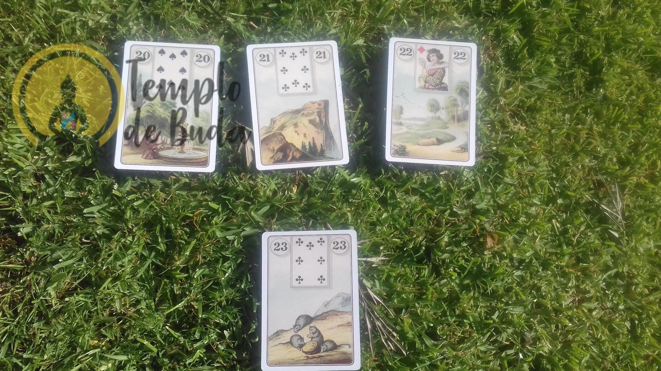 Baralho Cigano Madame Lenormand de Laura Tuan em Português