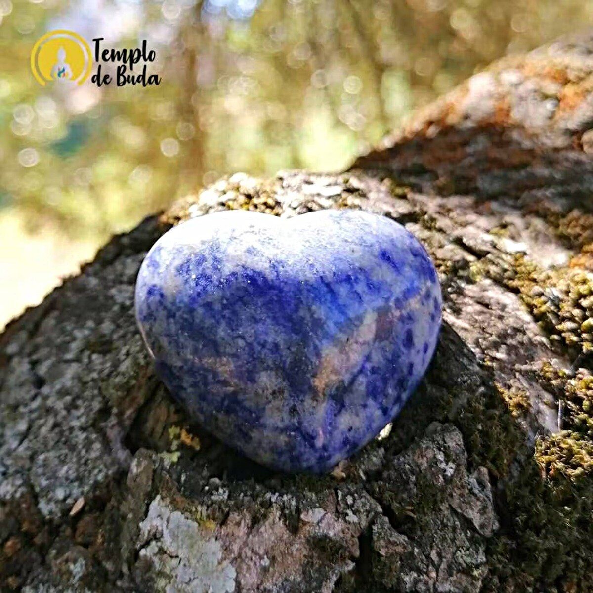Coração Sodalite