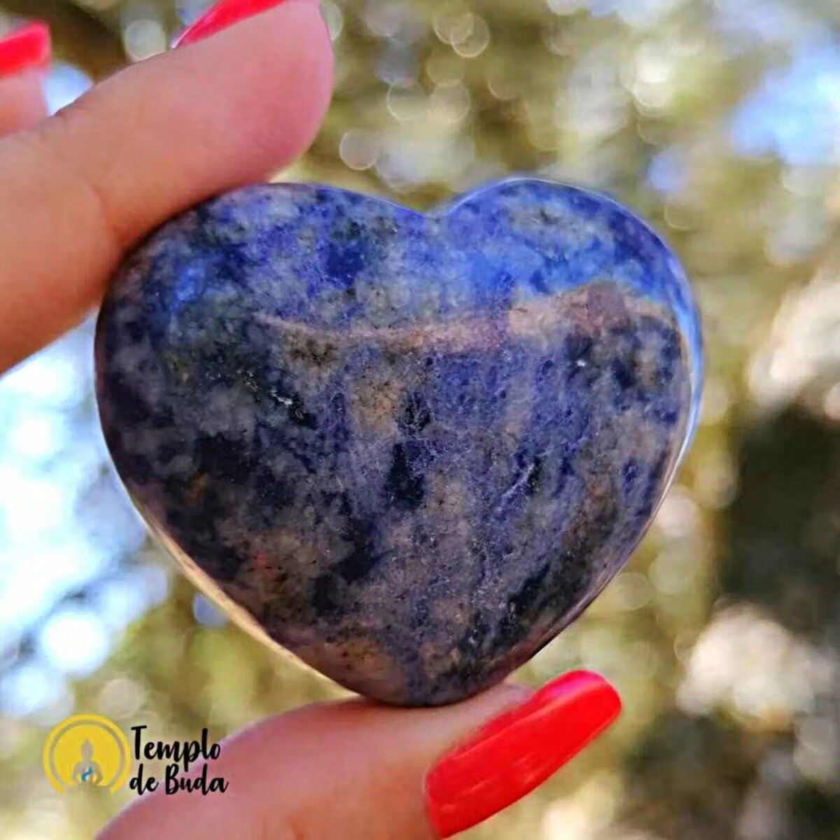 Coração Sodalite