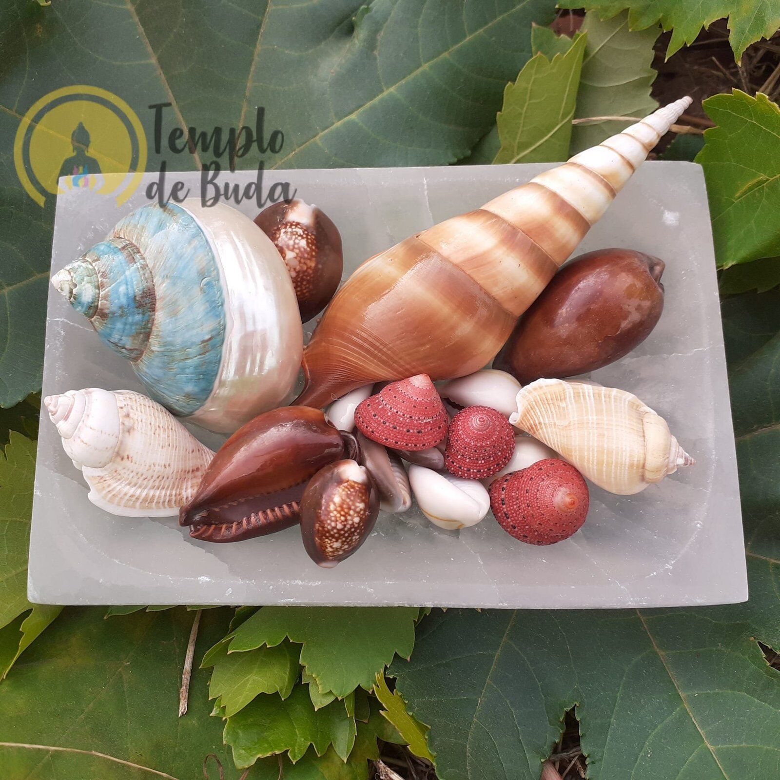 Taça de Selenita Rectangulo 15cm
