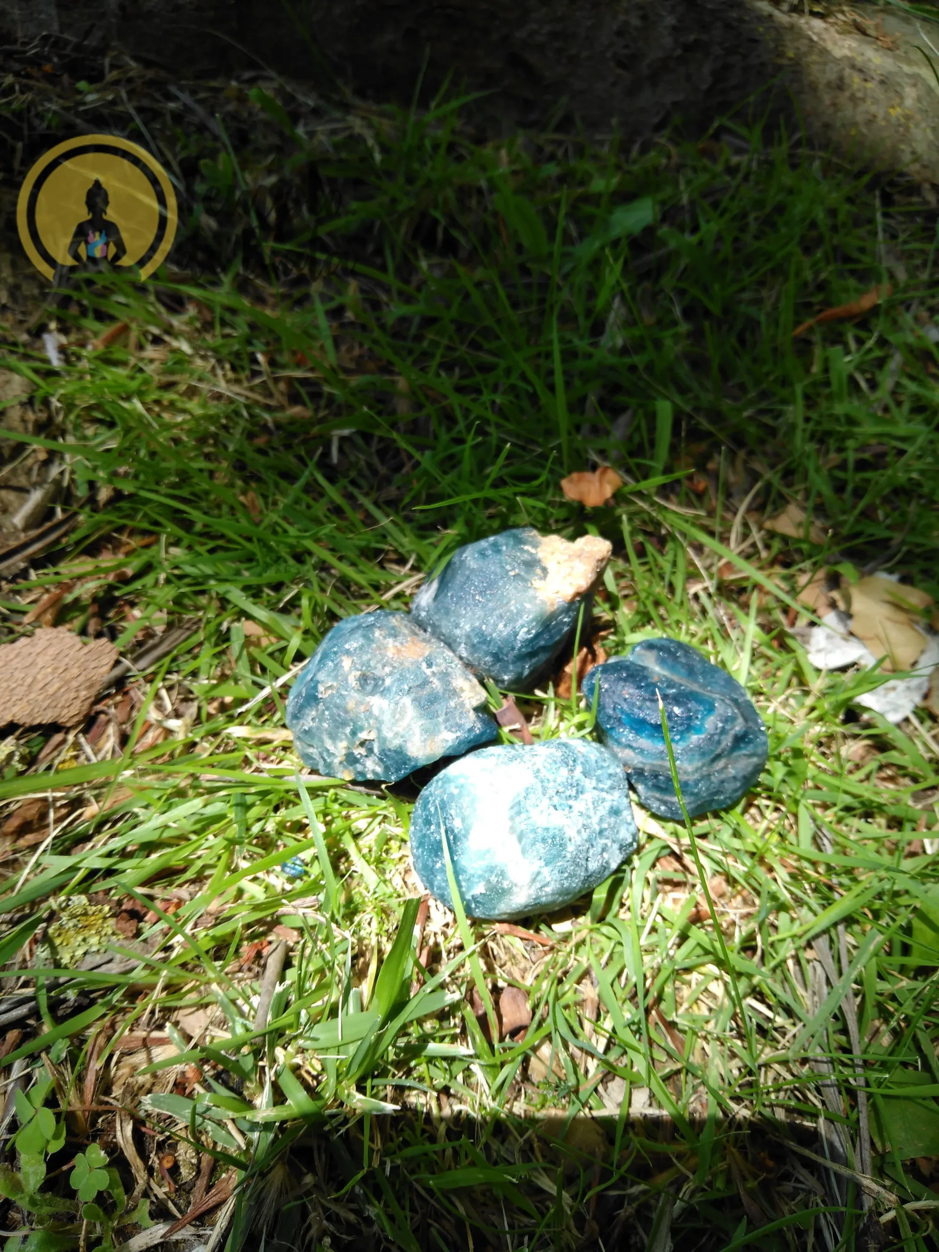 Apatita Azul Bruto Média