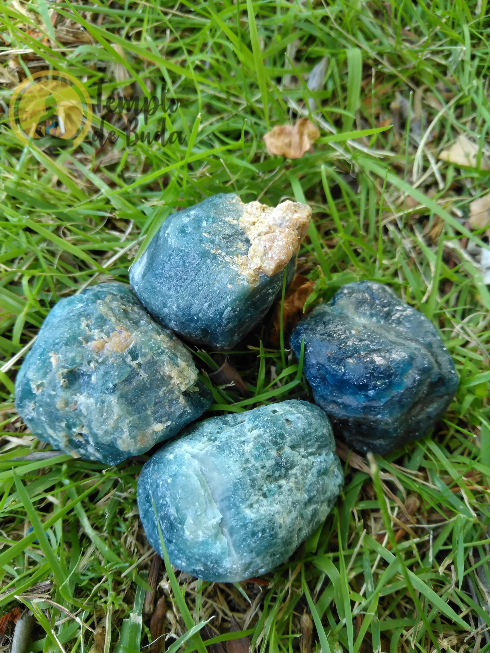 Apatita Azul Bruto Média