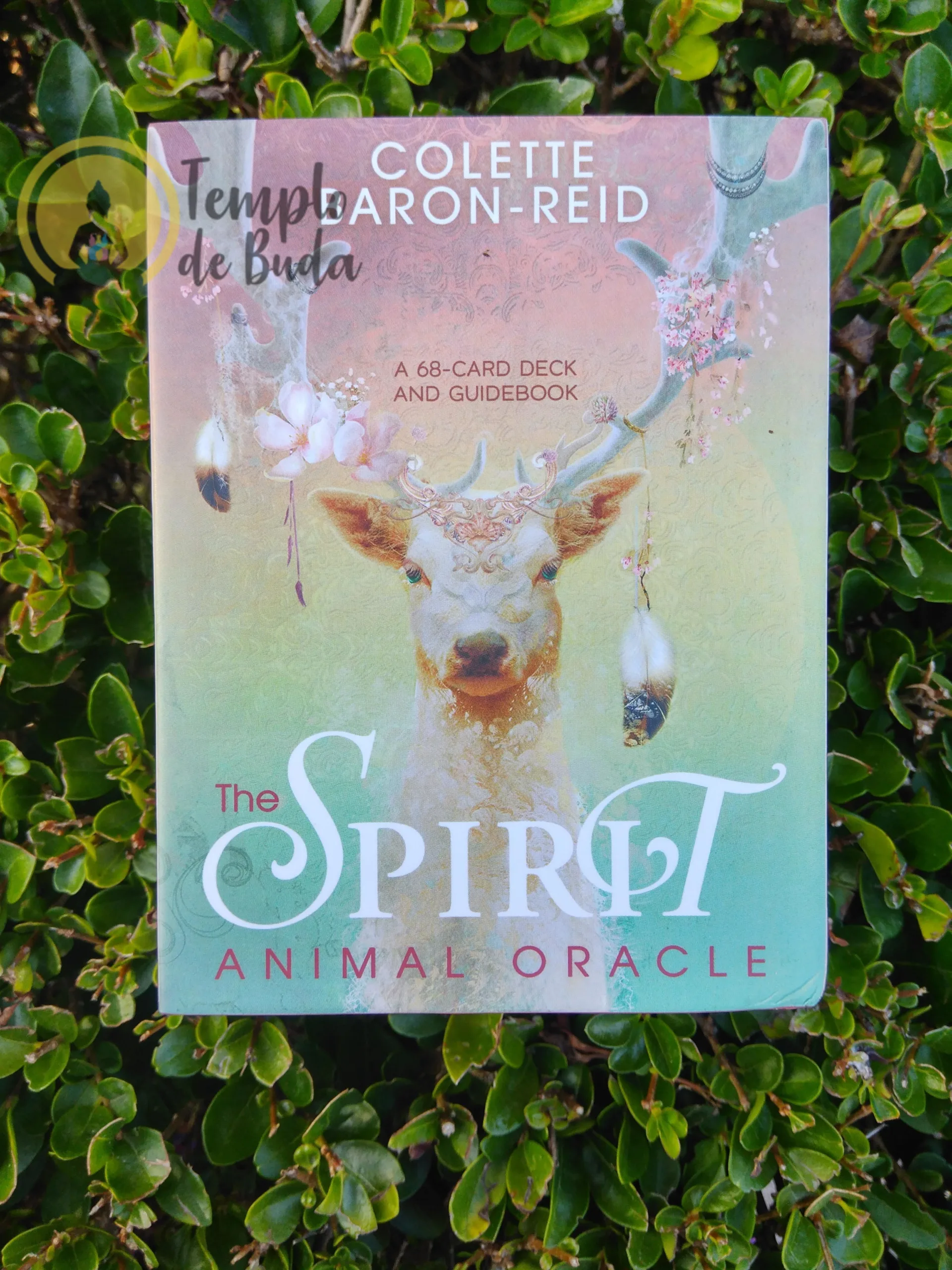 Oráculo Animal Espiritual de Colette Baron-Reid em Inglês