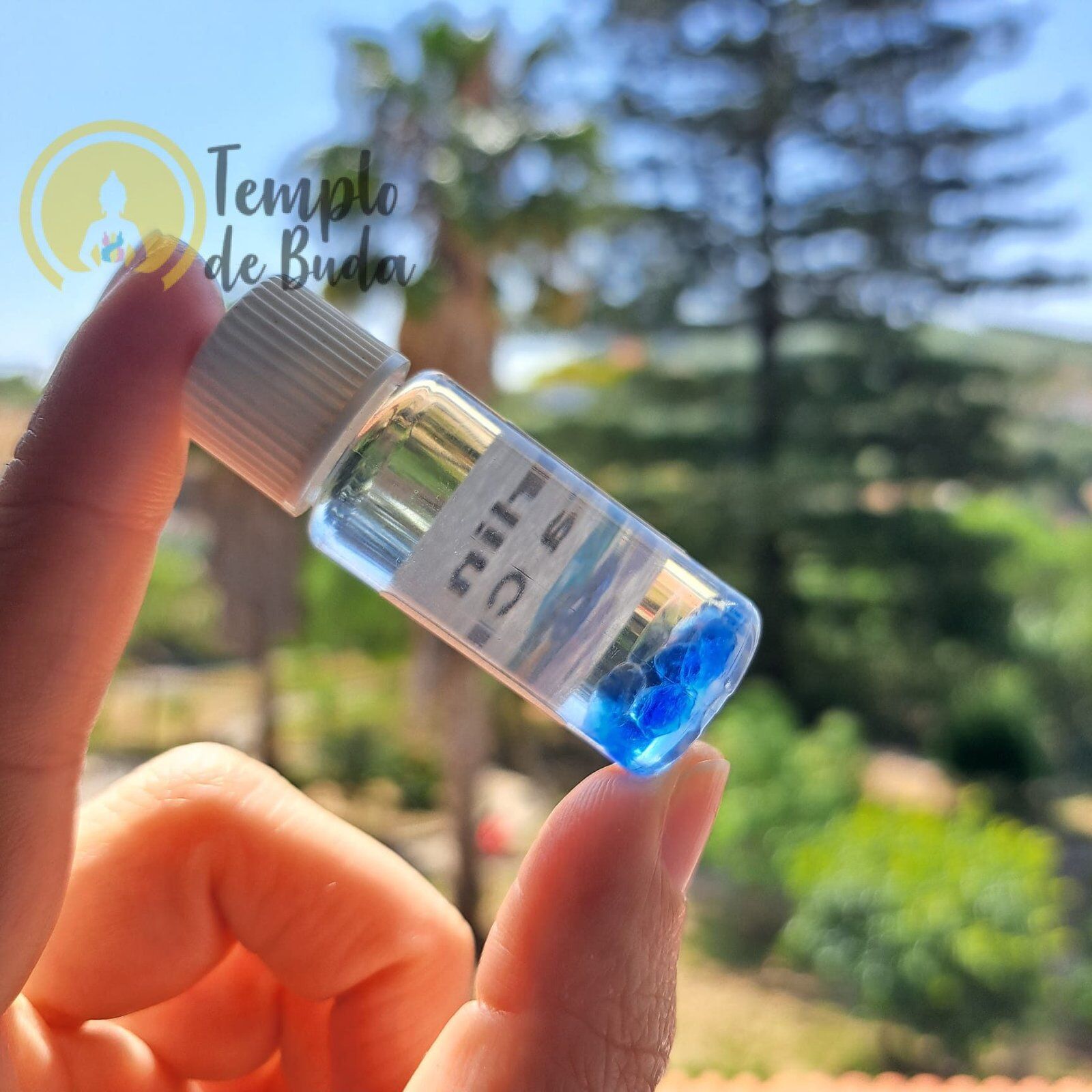 Óleo de Andara Merlin Blue